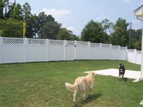 Vinyl Fence, Vinyl Fencing, Contractor
